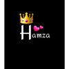 hamzu__2527