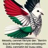 hidayetbaykul
