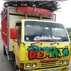 cakipin333
