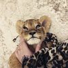 marwa_qn_