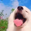 mevaembedunx