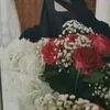 liinkzeva