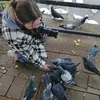 lily_st8