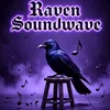 djravensoundwave