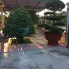 30705810537