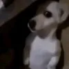 tizianoooooooooooo