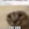 horse_enjoyer