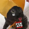 theholycatpope