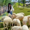 maiphuong30019x