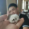 pham_khoa_97