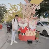 agnnguyen7