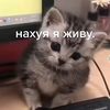ksenia_25_25_25