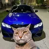 catsooo16