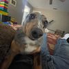 riley_r__