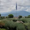 0_szandi_0