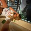 abby_rose_heer