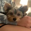 avasmommy436