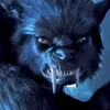 cynosonic