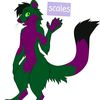 scalesthebearcat