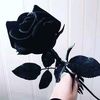 dyz_0528