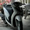 tuanro81