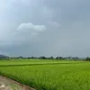 leduckm