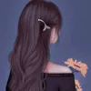 virgin0210