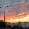 yogun_55