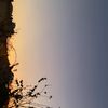 alzahrani7_