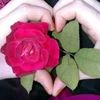 user03010287