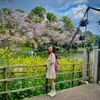 thanh_nhan1209