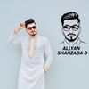 allyanshahzada0
