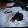 anthony_ord