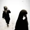 أَبُو بَكْر