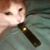 yumcnani