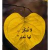 shereen_za