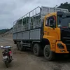 xitrumlang_