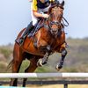 molly.eventingg