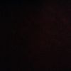 aysel_441