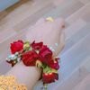 hafsachaudhary020