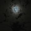 noura_mo7