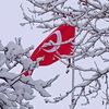 caner_cvs.7