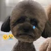 mimcuoinhungkhongchoqua