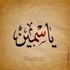 yasmeenayyad88