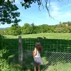 twistedhsp