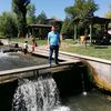 serdar_26.26