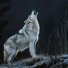 saif61122334455
