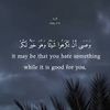 user11810837