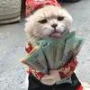 tieuthien.ofc