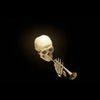 mr.skeltal